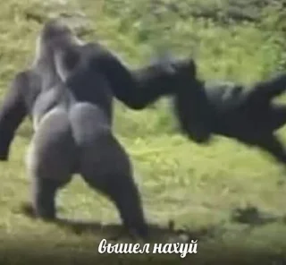 Sticker YCTAH0BKA_HA_П0H0C - 1