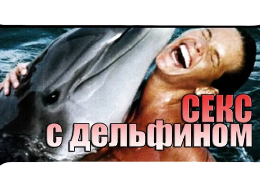 aquatic mammal dolphin marine mammal