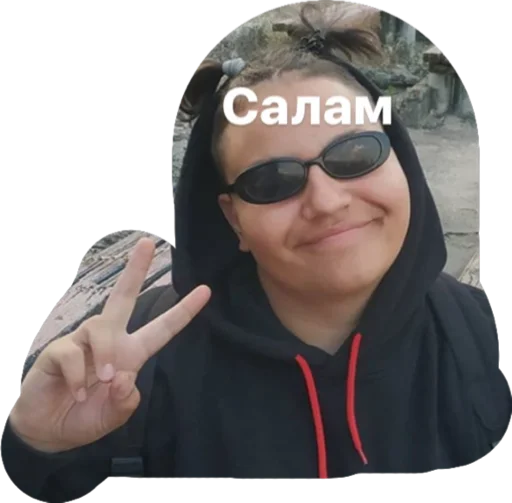 Sticker Дурдом - 1