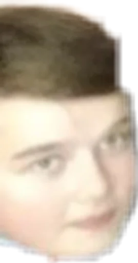 eyebrow human face person