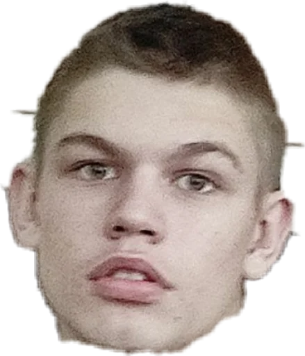 human face eyebrow portrait