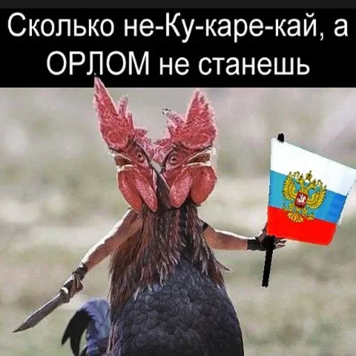 Sticker Українській Чат - @FlyUkraine 🇺🇦 - 5