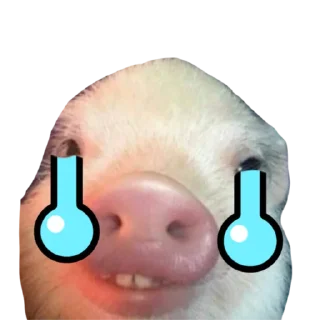 Sticker Поросята - 11