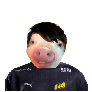 Sticker Поросята - 7