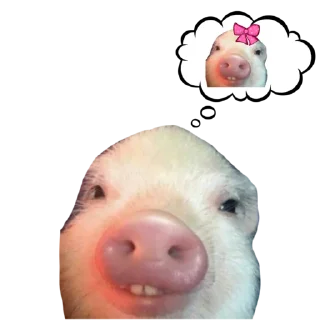 Sticker Поросята - 8