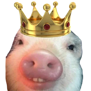 Sticker Поросята - 5