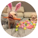 Стикер Pig - 8