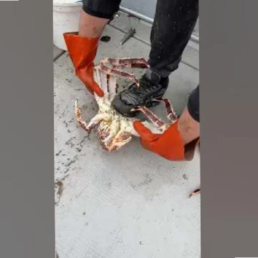 Стикер PikPakFur - 1