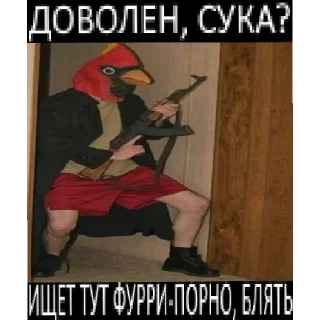 Sticker Пик-Пак фурь - 5