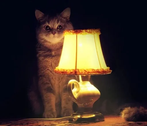 Стикер Pikabu_mems - 1