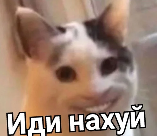 Стикер Pikatop_by_fStikBot - 1