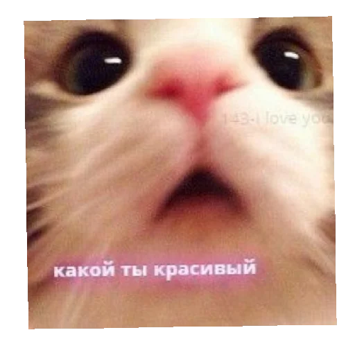 Стикер Пикчи<3 - 7