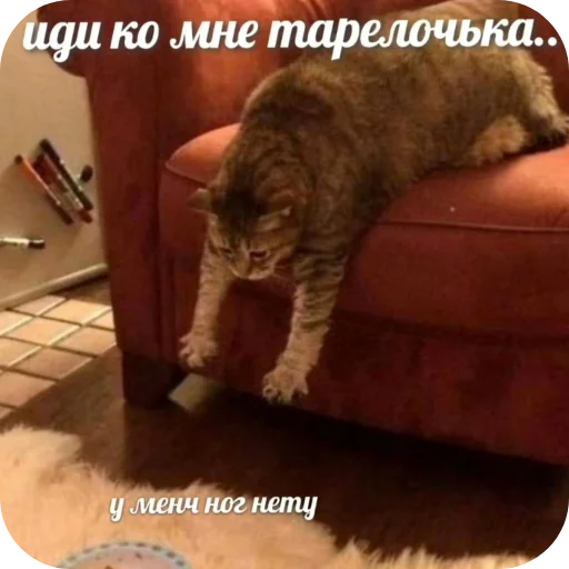 Стикер PikchiSKotikami1 - 1