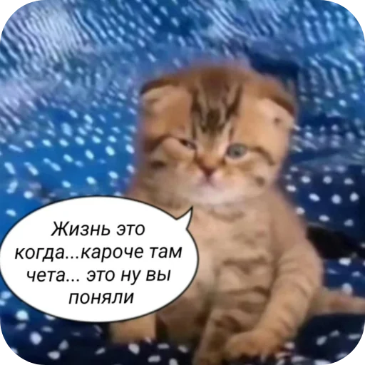 Стикер PikchiSKotikami1 - 1