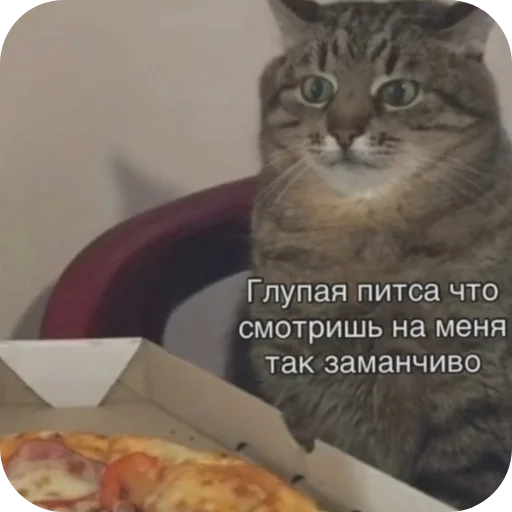 Sticker PikchiSKotikami1 - 1