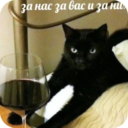 Sticker PikchiSKotikami1 - 1