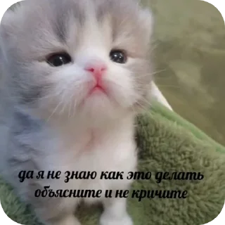 Стикер Пик4и - 3