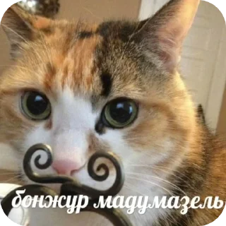 Стикер Пик4и - 1