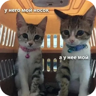 Стикер Пик4и - 10