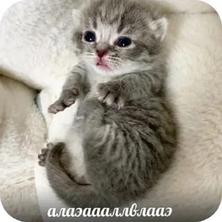 Стикер Пик4и - 6