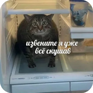 Стикер Пик4и - 11