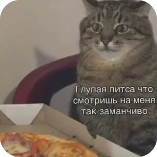 Стикер Пик4и - 5