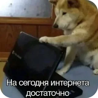 Стикер Пик4и - 4