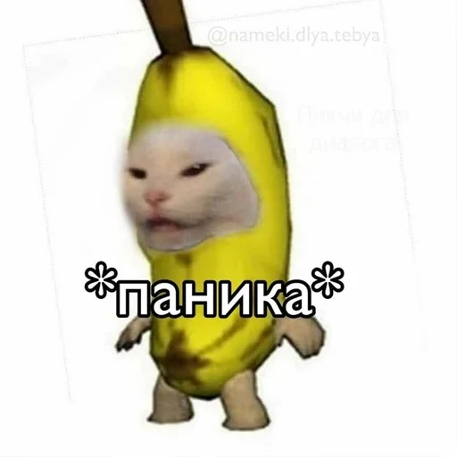 Sticker Пикчи🚬🗿 :: @fStikBot - 7