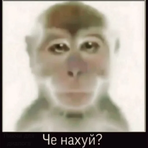 Sticker Пикчи🚬🗿 :: @fStikBot - 4