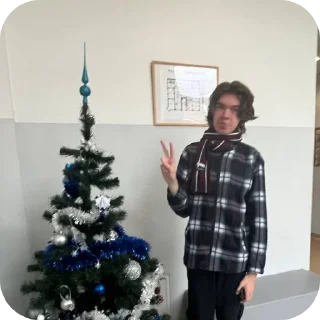 christmas tree person indoor