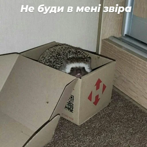 Стикер Піксіі - 9