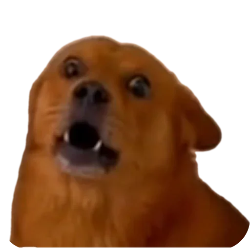 Sticker PilotVanya - 1