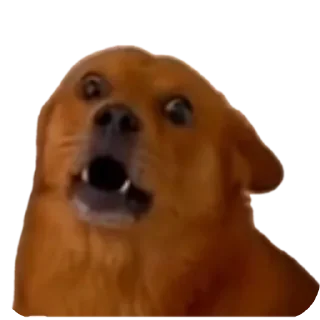 Sticker pilot_vanya - 5