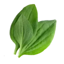 Стикер Piluli - 4