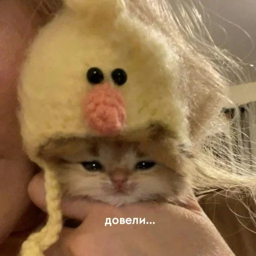 животное мех игрушка