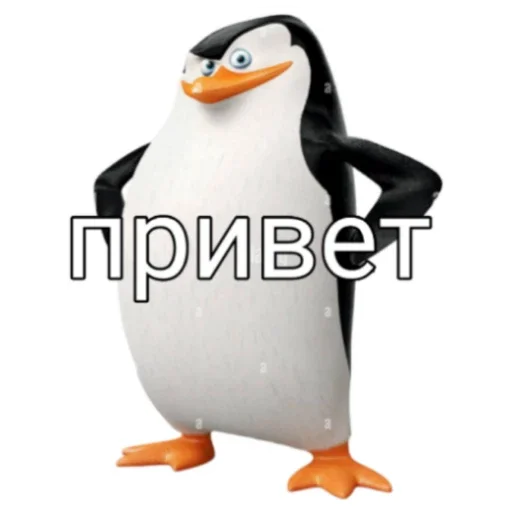 Пингвин Тег - 
