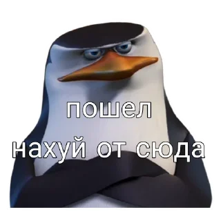 Стикер Пингвин Тег - 3