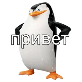 Стикер Пингвин Тег - 6