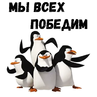 Sticker @animesticks :: Пингвины из Мадагаскара - 9