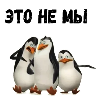 Sticker @animesticks :: Пингвины из Мадагаскара - 6