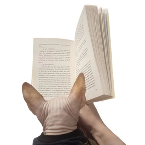 Sticker Pinky_Cat_Kotovik - 1