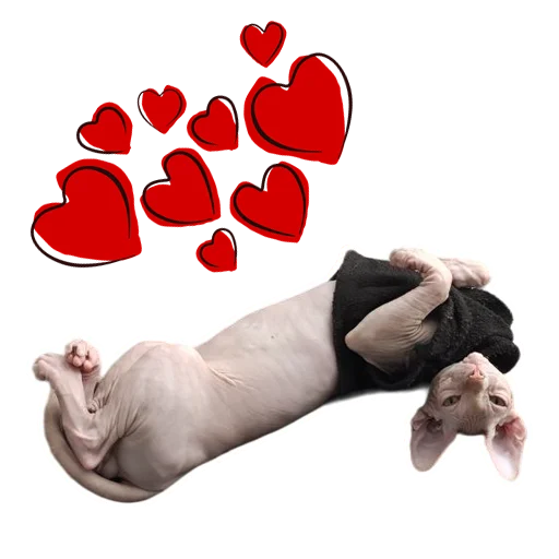 Sticker Pinky_Cat_Kotovik - 1