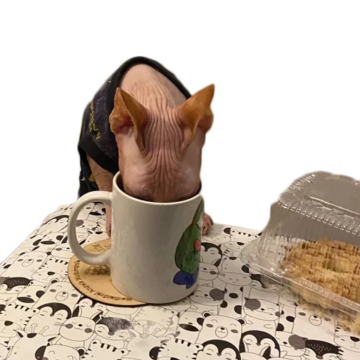 Sticker Pinky_Cat_Kotovik - 1