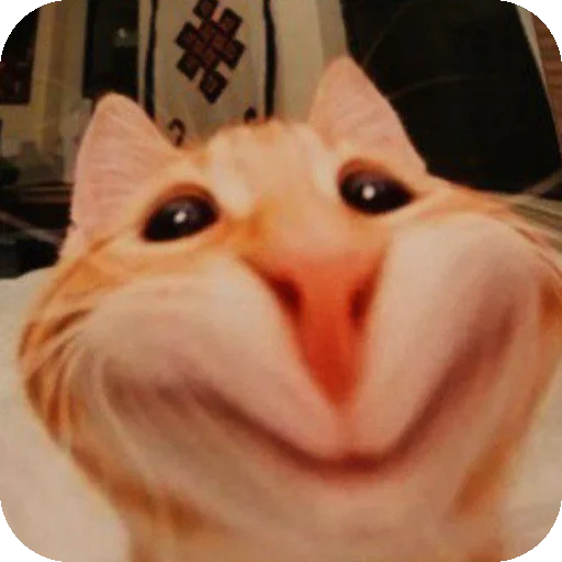 Стикер PipidastrByFat0lDeath - 1