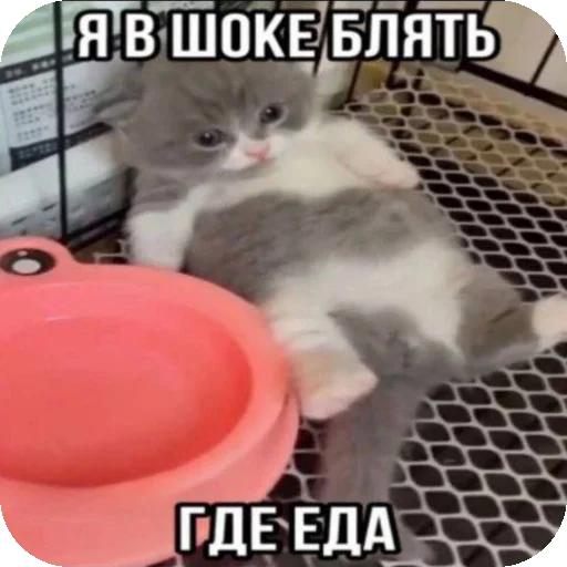 Стикер PipidastrByFat0lDeath - 1