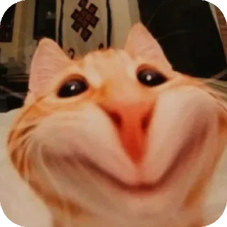 Sticker Пипидастр by: @Fat0l_Death - 11