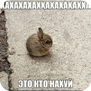 Sticker Пипидастр by: @Fat0l_Death - 9