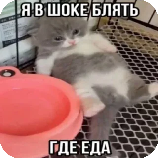 Sticker Пипидастр by: @Fat0l_Death - 8