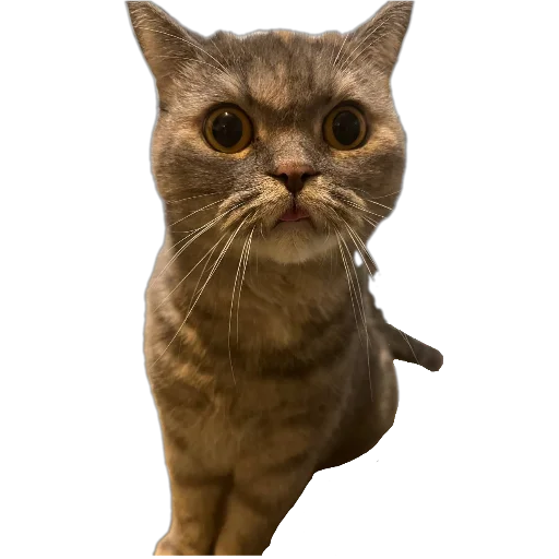 Стикер Pipirka395 - 1