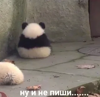 Sticker Pirozhocheck - 7